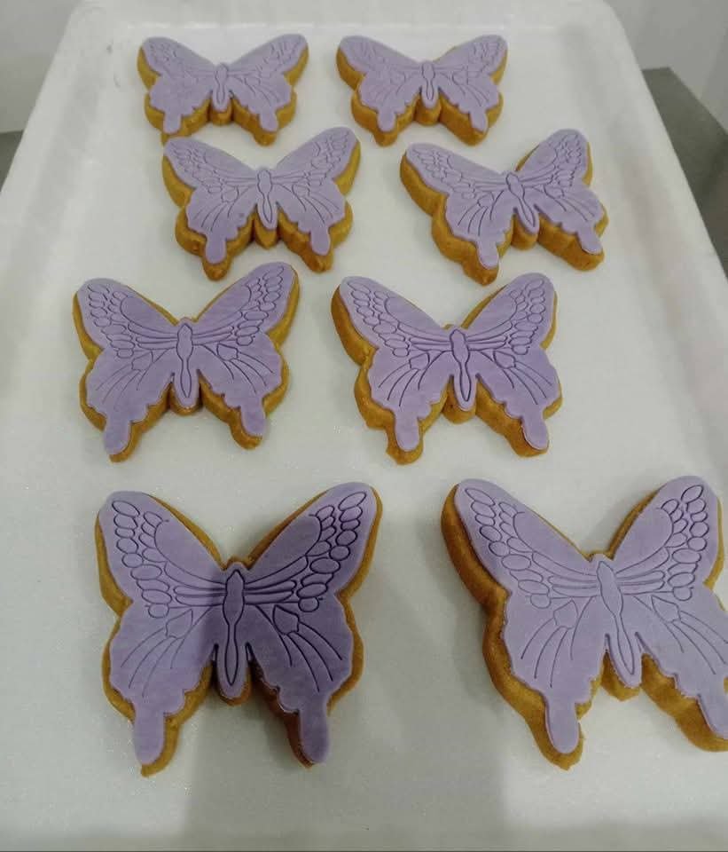 Γάμος & Βάπτιση - Δάγκος